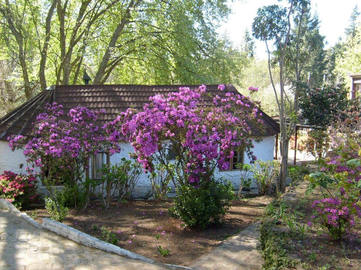 Kings Lodge Hotel Hogsback Exterior photo